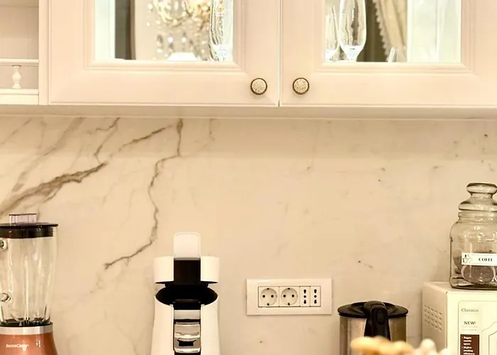 Apartment Fsf Boutique Timişoara