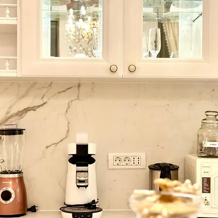 Apartament Fsf Boutique Timișoara